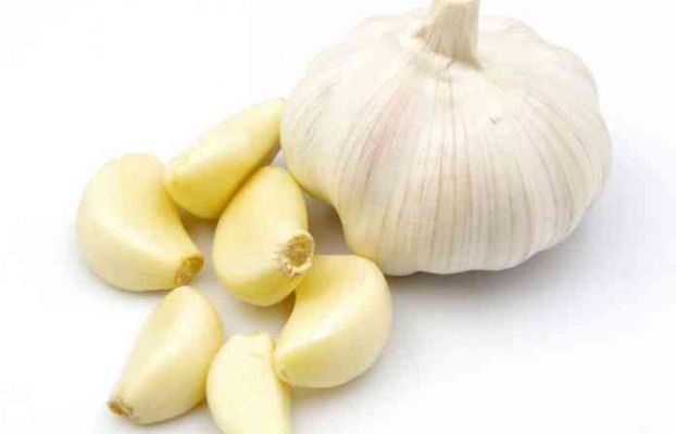 लसूण Garlic